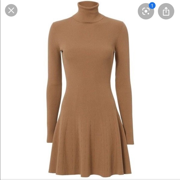 alc sweater dress